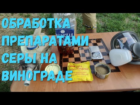 Video: Vine phylloxera: себептери жана күрөшүү чаралары