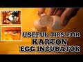 Pinoy Egg Incubator/ Easy Egg Hatching/Golden Works TV