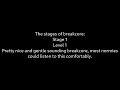Capture de la vidéo The Stages Of Breakcore