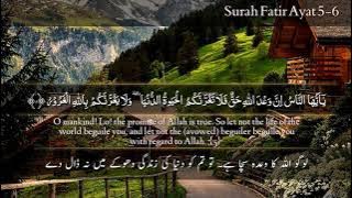 Surah Fatir Ayat 5-6 سورة فاطر Ahmed Al'Nufais احمد النفيس Quran Translation Urdu