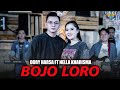 Download Lagu Dory Harsa Feat Nella Kharisma Bojo Loro Dangdut... MP3 Gratis