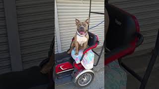 What Would You Delete?