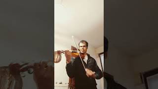 Burning Heart Survivor Violin Cover