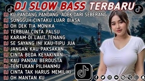 DJ TIKTOK TERBARU 2025 || DJ CINTA DARI SEBERANG 🎵 DJ SUNGGUH CINTAKU LUAR BIASA 🎵 FULL ALBUM❗❗