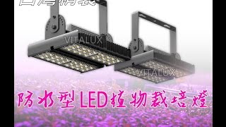 非cob型led 防水型led植物燈 Led植物生長燈 Led栽培燈 高演色專業植物造景燈 總整理 Youtube 非cob型led 防水型led植物燈 Led植物生長燈 Led栽培燈 高演色專業植物造景燈 總整理 Youtube