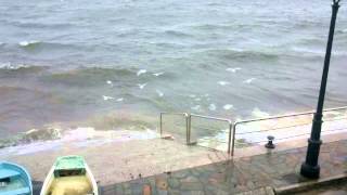 TEMPORAL EN JARA