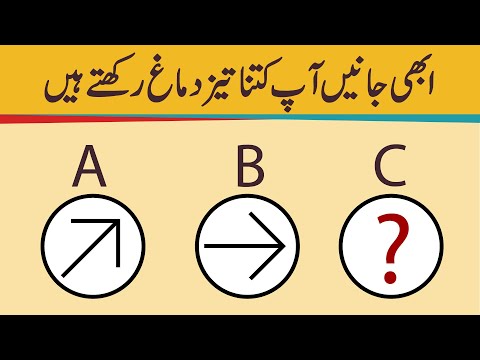 IQ Test - Test your IQ Level and intelligence in Urdu Hindi