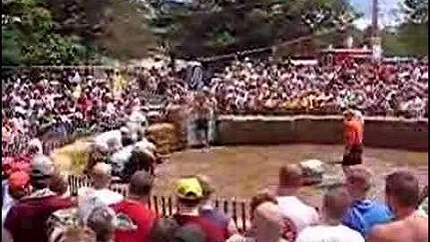 Cheesehead hog wrestling 2