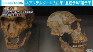 ネアンデルタール人由来　遺伝子が“重症化予防”(2021年2月21日)