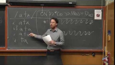 Linguistics Lecture - UC Berkeley - Introduction to Optimality Theory in Phonology