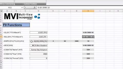 Hospice Accounting & Reporting F9: #2 Formulas