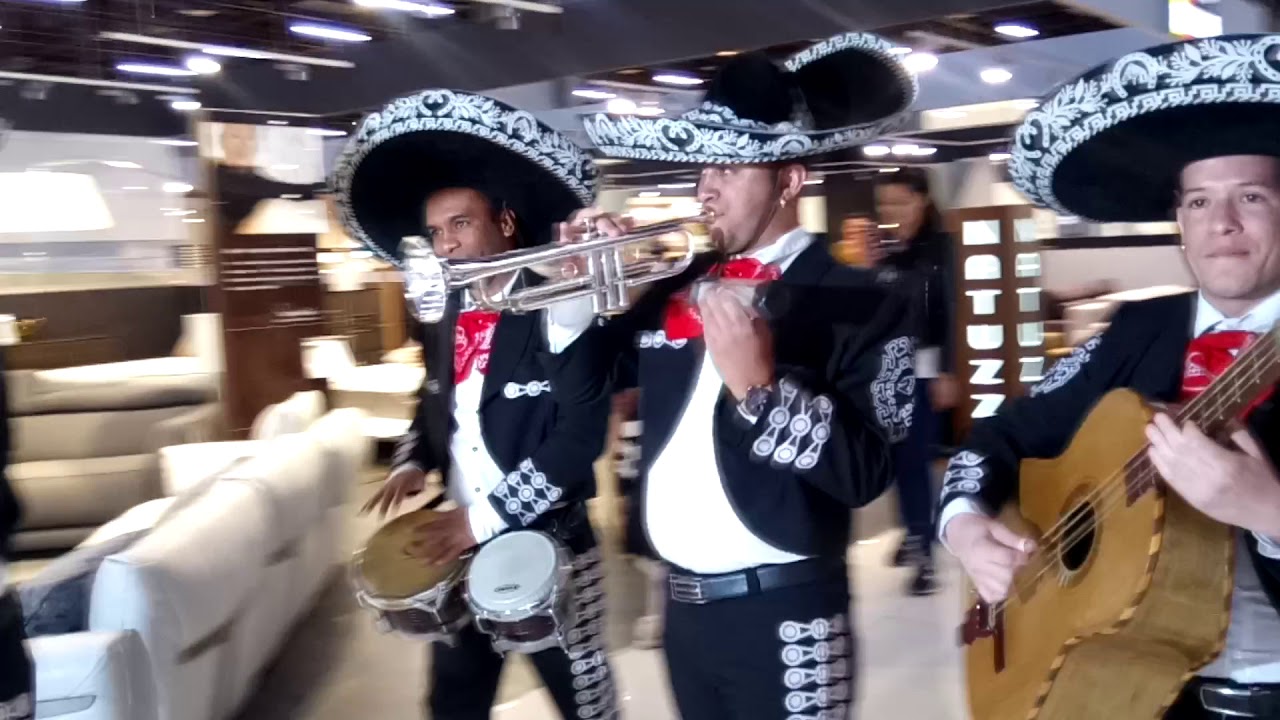 Mariachi Tits