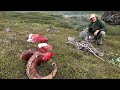 Monster Dall Sheep Hunt from Alaska's Chugach Mountains