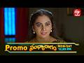 అప్పారావు నాటకం బయటపడితే? | Sandya Ragam | Mon - Sat @ 12:30 PM On ETV