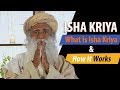 Isha Kriya - What Is Isha Kriya & How It Works (Explained by Sadhguru)