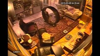 Caught on video surveillance: Siberian cat Qbit reinvents the wheel by Katzenjammers 778 views 9 years ago 11 seconds