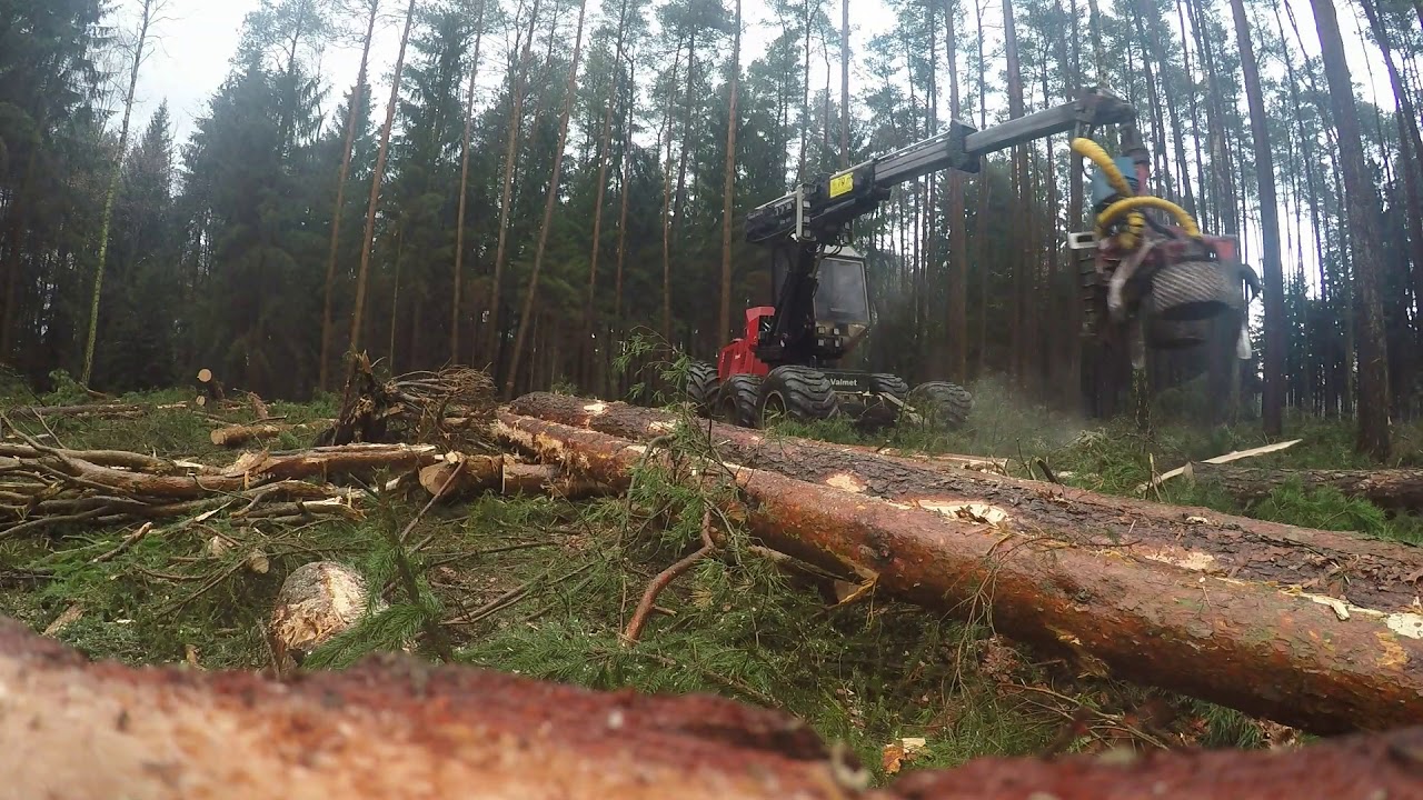 Harwester Valmet 911 Zrąb