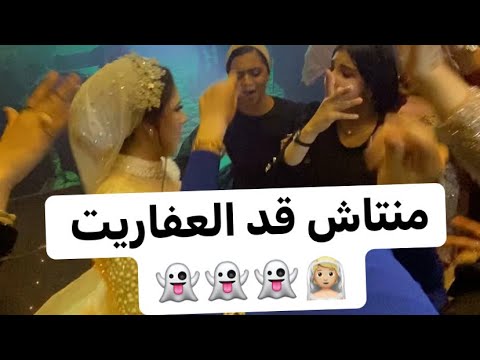 شوف اصحاب العروسه علي دلوقت وقت ال هابا