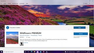 Windows 10 11 Theme Wildflowers Premium from Microsoft store background wallpaper