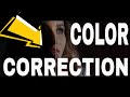 Color mask in Adobe Premiere CC | COLOR CORRECTION