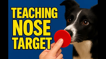 Teach Nose Target in 2 Minutes (Step-by-Step)
