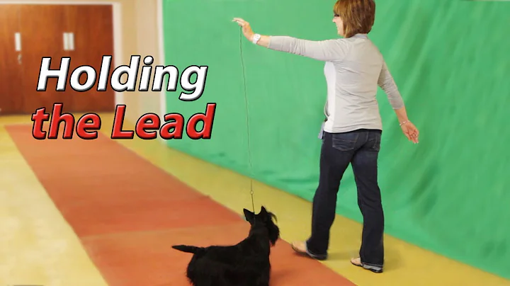 Use of the Show Lead on the Move with Rebecca Cross