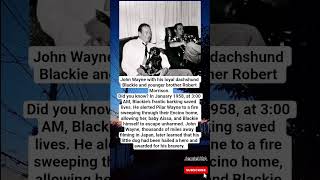 How John Wayne’s Little Dog Blackie Became a Midnight Hero Who Saved a Family