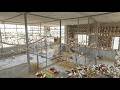 🔥 Inside My 1000+ Finches Aviary | Breeding progress & Secret Soft Food Homemade Formula 🐦🍳