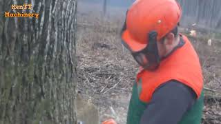 Amazing Fastest Skill Cutting Big Tree