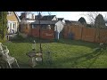  bird feeder and garden view  uk life   1440p