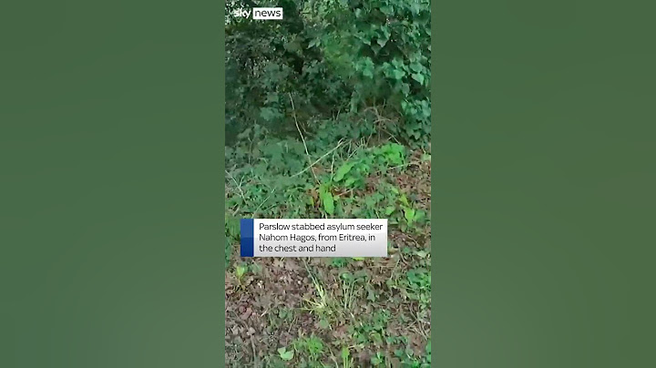 Moment police arrest Nazi-obsessed knifeman