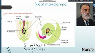 6-cı sinif - Orqanizmlərin cinsi çoxalması - NurBio