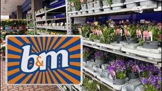 New Plants at B&M. Plant Shopping made easy . #bargain #gardening #plants 