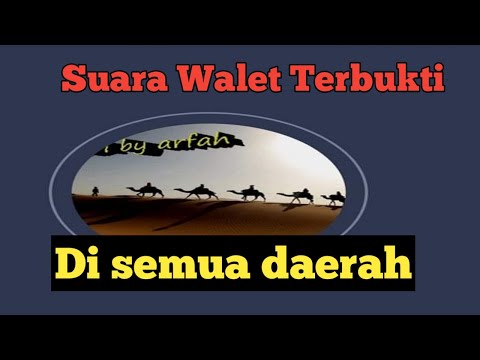 OPEN PROTEC SP.R3 FULL BIRAHI HARGA 1 JUTA By Juss Arfah ORIGINAL 💯%.Link Download di deskripsi.