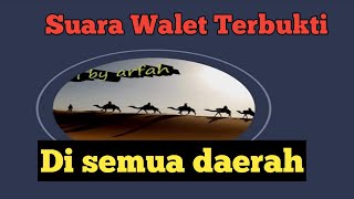 Download Lagu Suara walet terbukti.SP Pribadi By Juss Arfah MP3