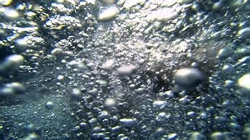 GoPro Hero 3 - Slow Motion - Underwater - Optical Flow edit FCPx