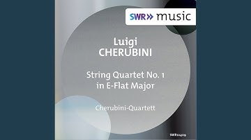 String Quartet No. 1 in E-Flat Major: I. Adagio - Allegro agitato