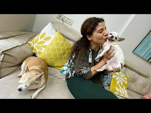 Meet CANDY's Husband "BAHUBALI" | Ss Vlogs :-)