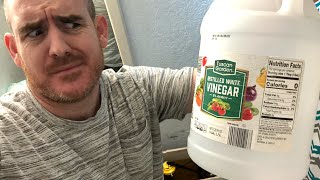 I poured Vinegar into my Toilet to Clean it.  Here’s what happened!