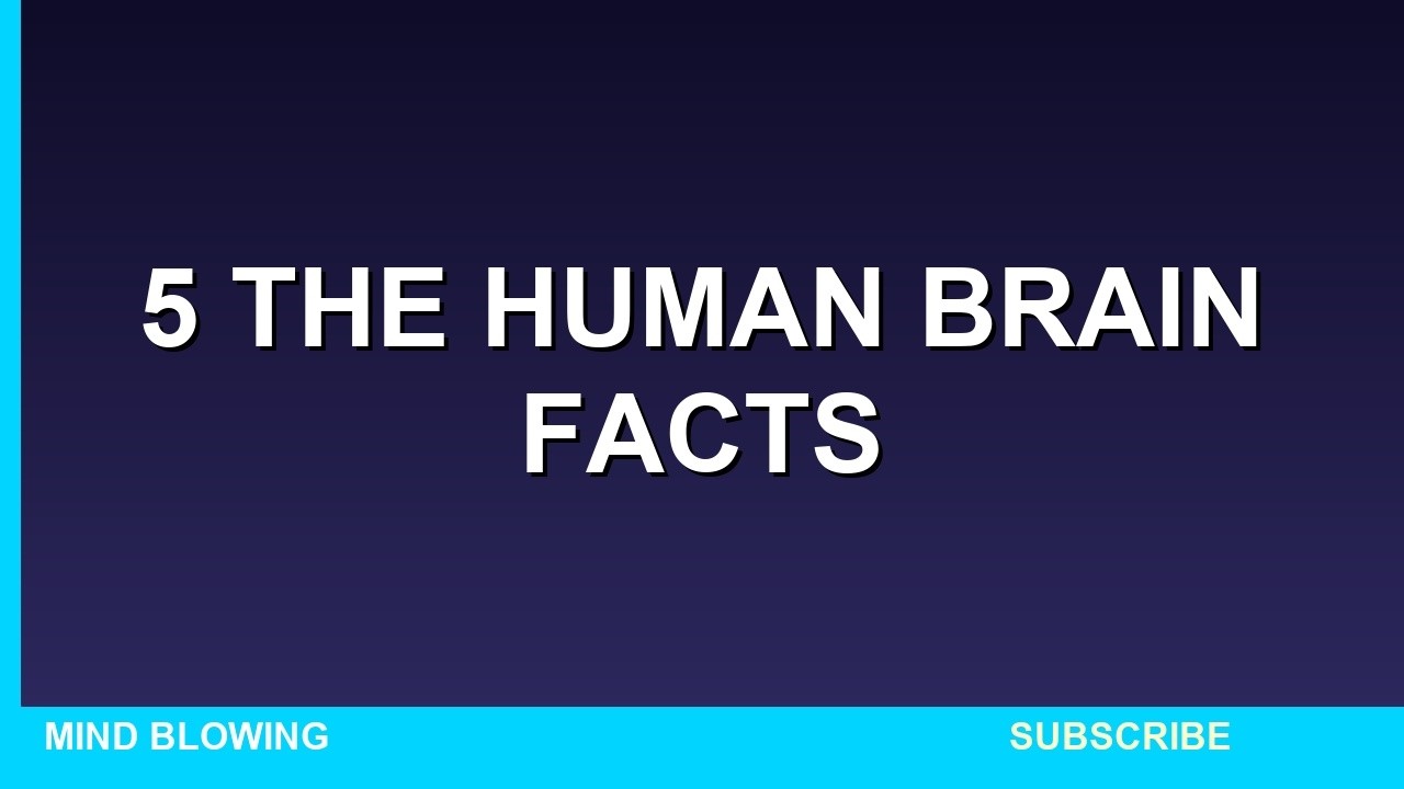 5 Mind-Blowing Facts About The Human Brain That Will Shock You - YouTube