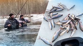 Горная рыбалка на хариуса на мушку. Ловля хариус на спиннинг в ноябре. Рыбалка в Сибири в тайге.