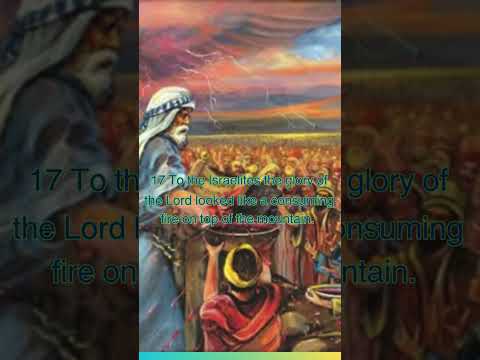 Exodus 24 16 17 CJB NIV Versions The Covenant Confirmed