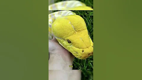 Rare Photos That Broke The Internet Part10