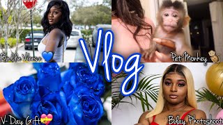 Valentines Day Vlog: Pet Monkey, Vday Photoshoot, Getting Drunk during the Day & More