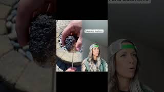 Wir Sind Einzigartig.