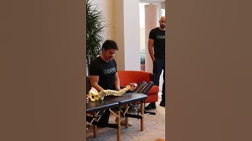 Thoracic spine #chiropractic #hvla #education #manipulation #shorts #manualtherapy