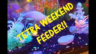 Tetra Weekend 5 Day Aquarium Fish Feeder Youtube