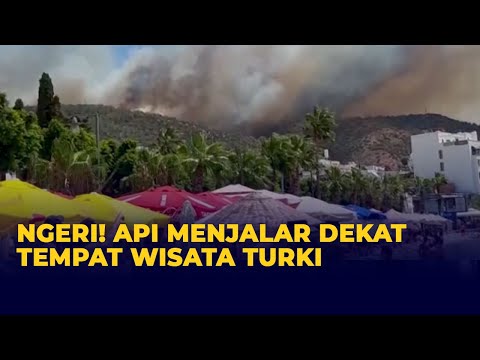Video: Bagaimana Mendukung Upaya Bantuan Untuk Kebakaran Hutan Pantai Barat