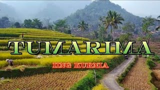 TUMARIMA COVER LIRIK LAGU|IING KURNIA
