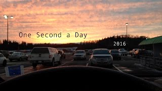 One Second a Day 2016